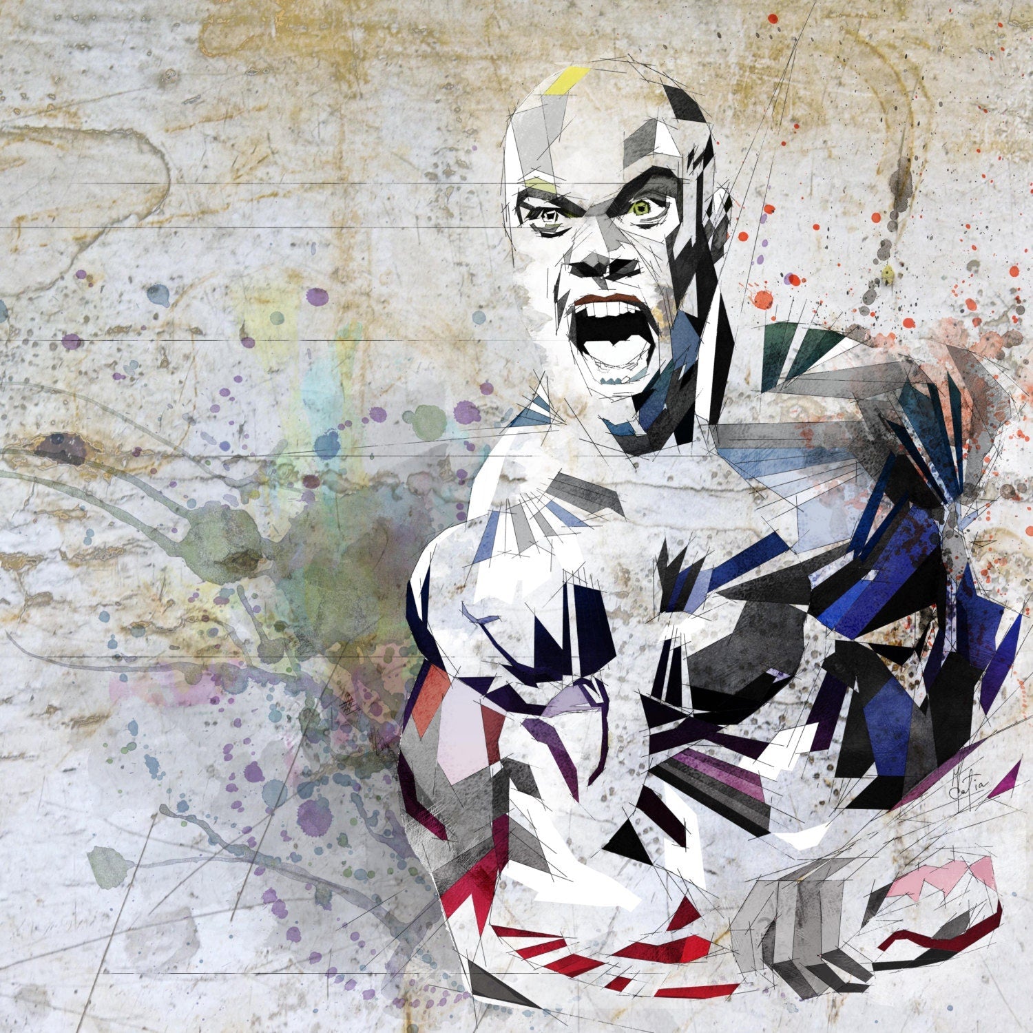 Phil Heath Mr. Olympia canvas print wall art