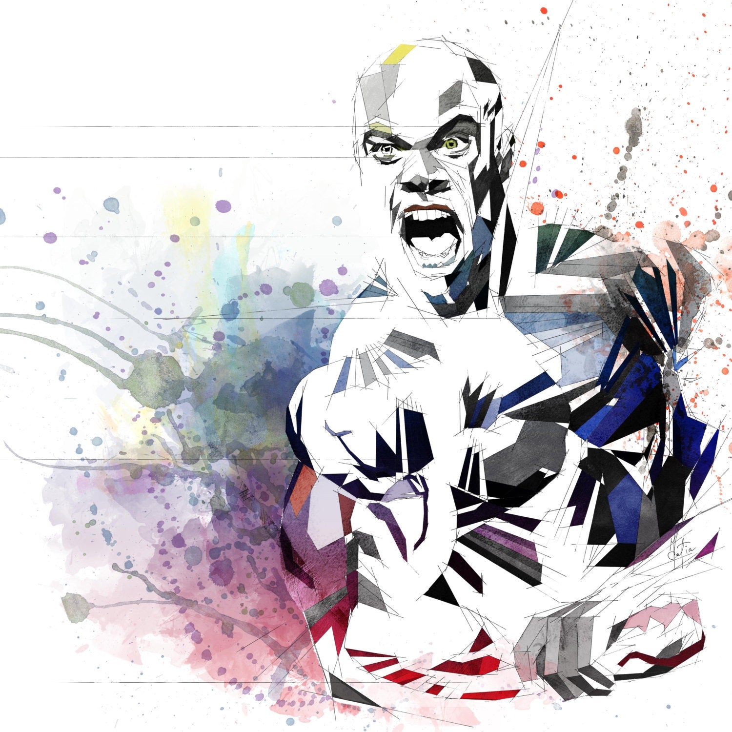 Phil Heath Mr. Olympia wall decor