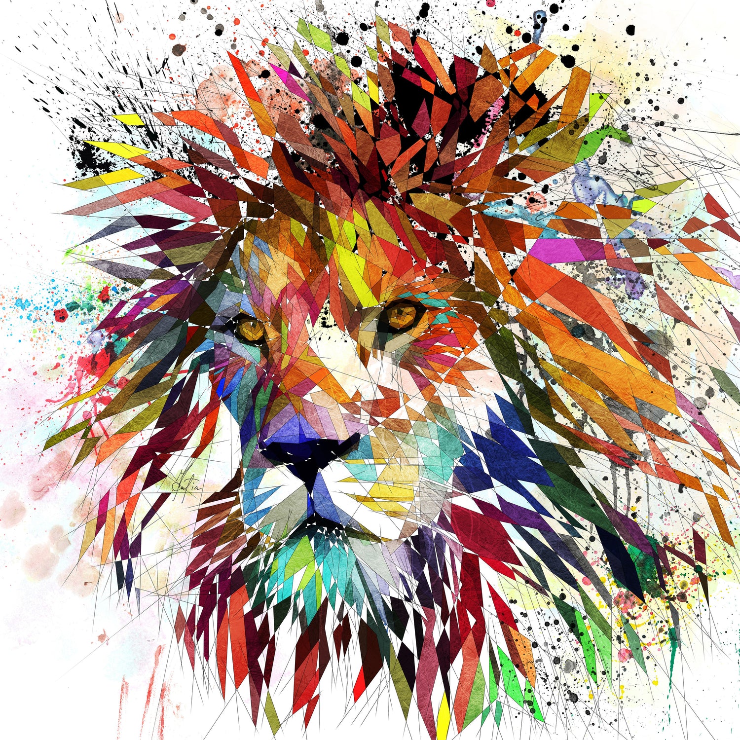 Animals