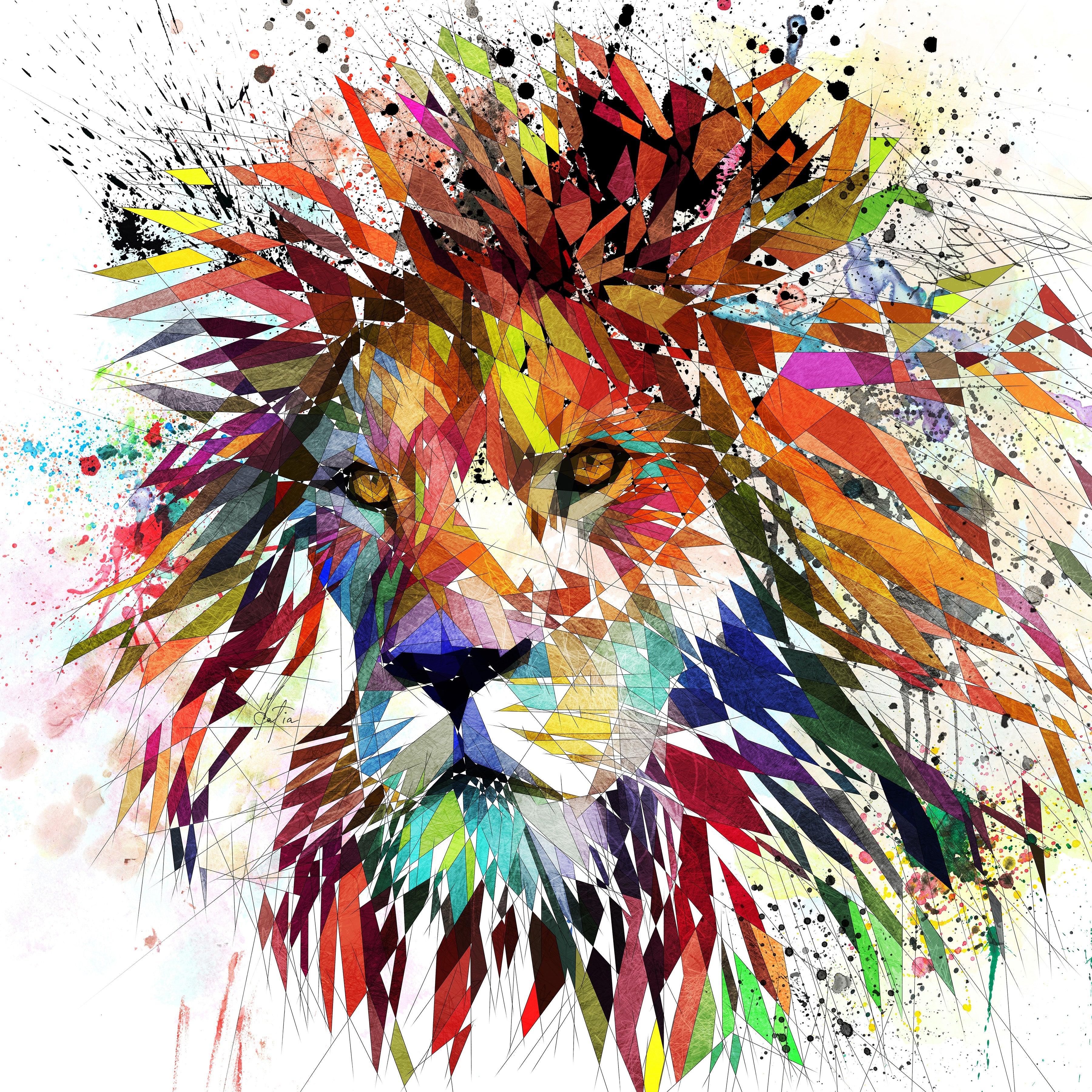 Animals