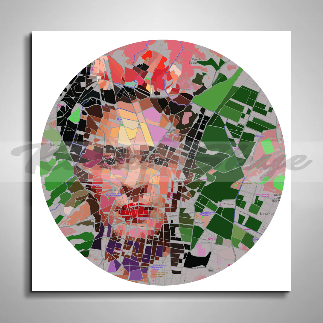 Contemporary Map Art of Mexico Inspired By Frida Kahlo // MAP-FK01