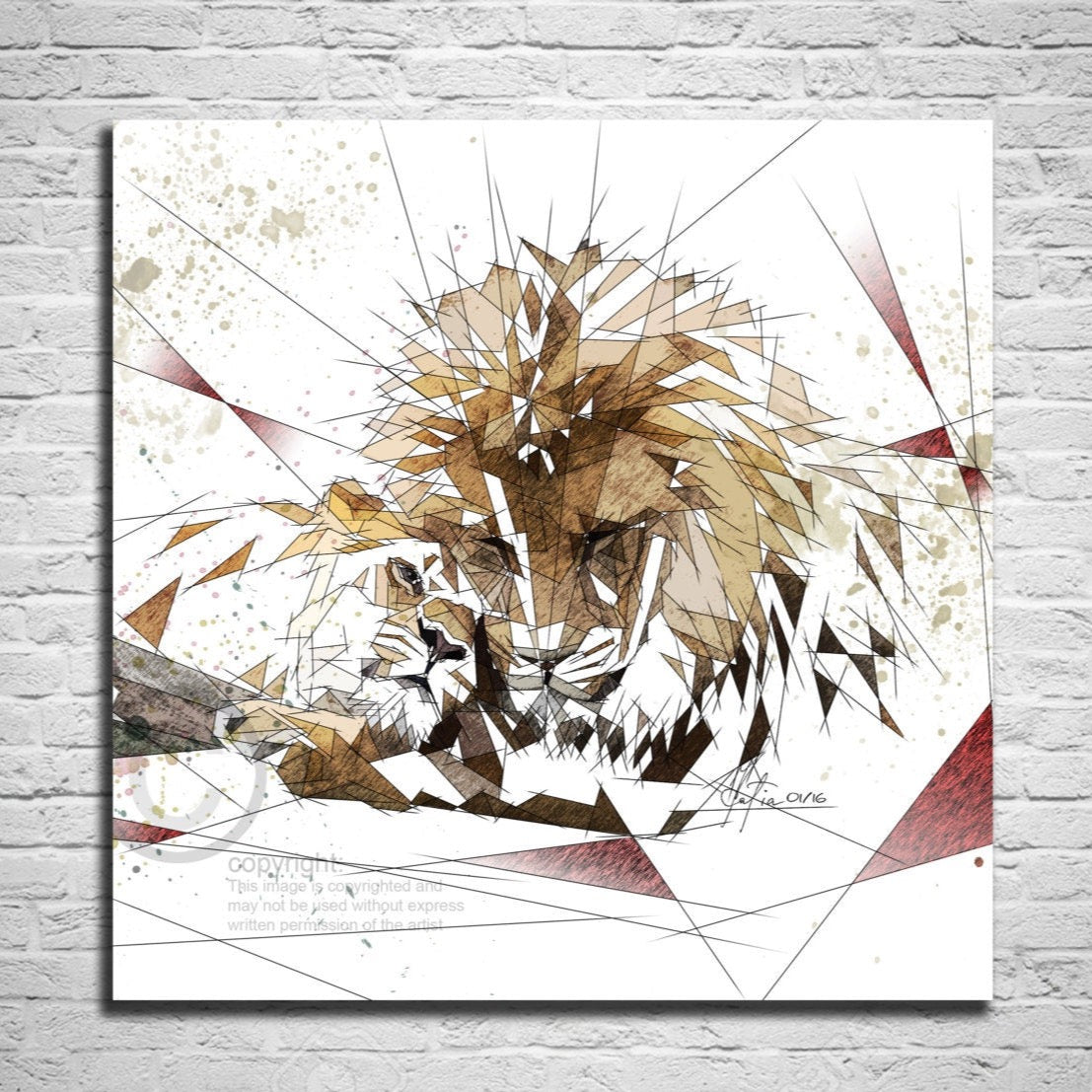 Animals