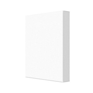 Steve Jobs wall decor frame