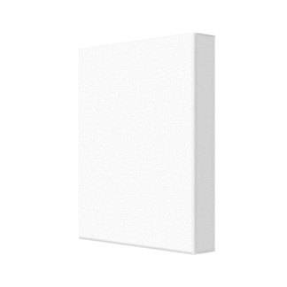 Sports Canvas Print