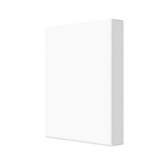 Sports Canvas Print