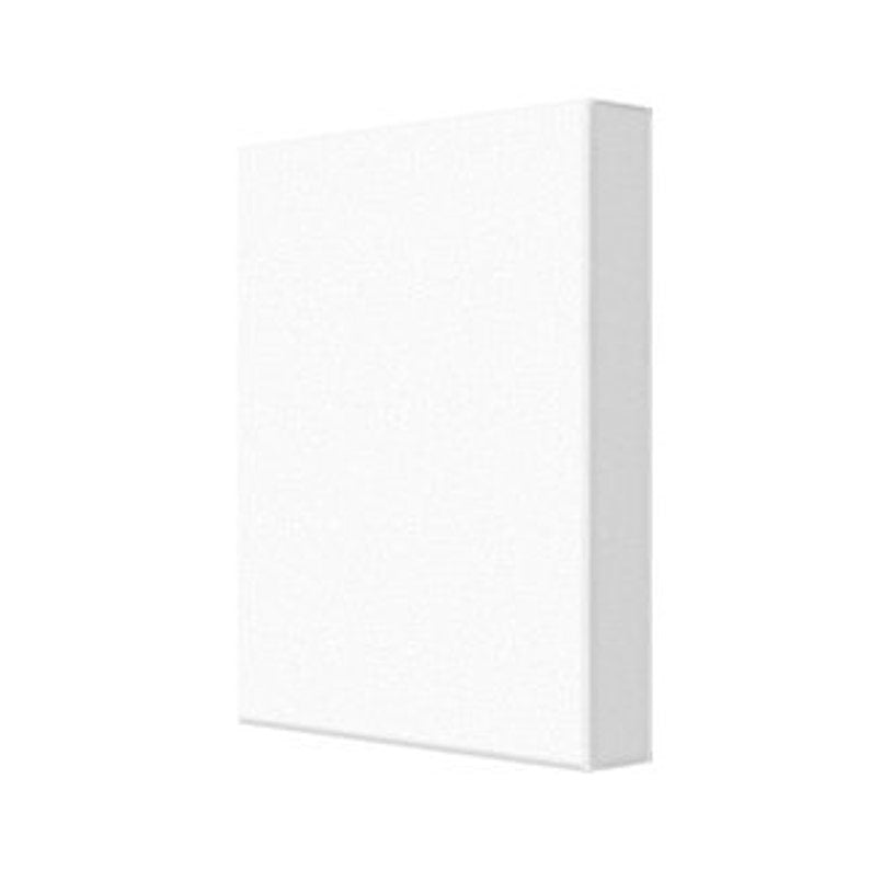 skull Canvas Print